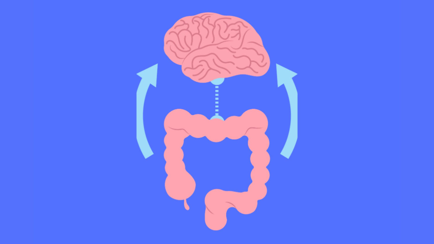 The Gut-Brain Connection